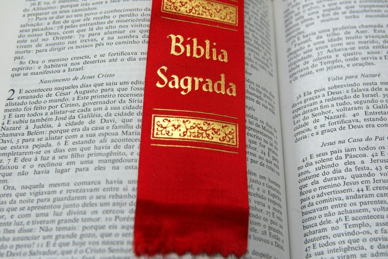 64bd06e6-985e-11e9-9ae0-00505697492c-wp.jpg