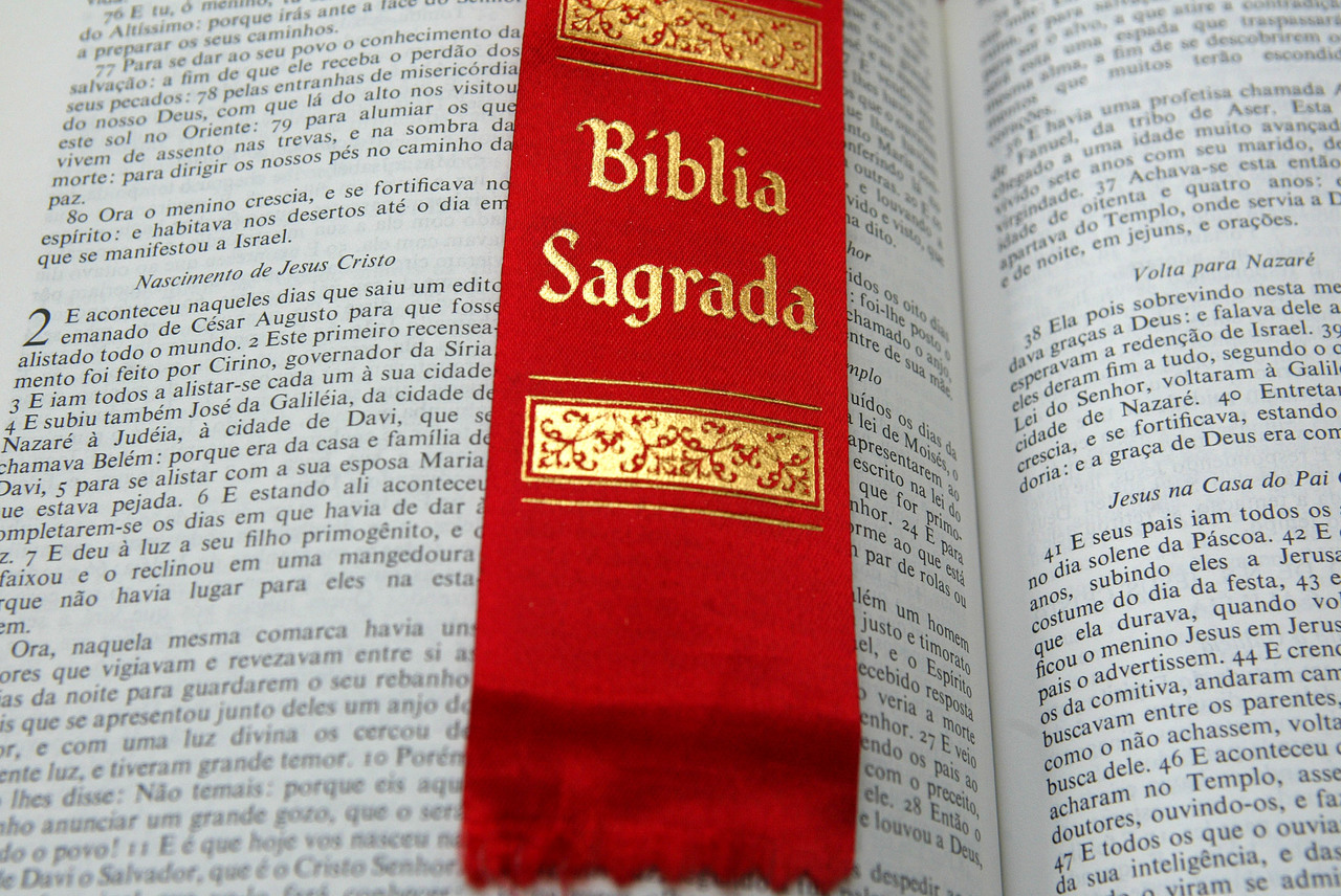 64bd06e6-985e-11e9-9ae0-00505697492c-wp.jpg